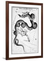 Constellations;Little Bear;Dragon;Engr.-null-Framed Giclee Print