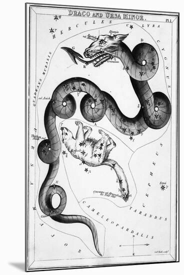Constellations;Little Bear;Dragon;Engr.-null-Mounted Giclee Print