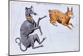 Constellations of Canis Major and Lepus, C1820-Sidney Hall-Mounted Giclee Print