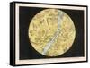 Constellations of the Northern Hemisphere-Charles F. Bunt-Framed Stretched Canvas