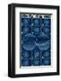 Constellations of the Zodiac-null-Framed Art Print