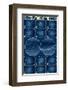 Constellations of the Zodiac-null-Framed Art Print