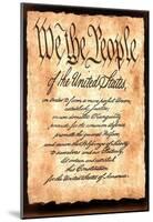 Constitution America motivational Art Print Poster-null-Mounted Poster