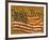 Constitution and U.S. Flag-Joseph Sohm-Framed Photographic Print