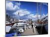 Constitution Day on May 17th, at Aker Brygge, Oslo, Norway, Scandinavia-Kim Hart-Mounted Photographic Print