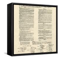 Constitution Document-null-Framed Stretched Canvas