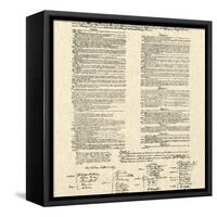 Constitution Document-null-Framed Stretched Canvas