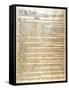 Constitution-null-Framed Stretched Canvas