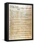 Constitution-null-Framed Stretched Canvas