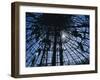 Constructing the Roof of a Large Ghraghe House, Shoa Province, Ethiopia, Africa-J P De Manne-Framed Photographic Print