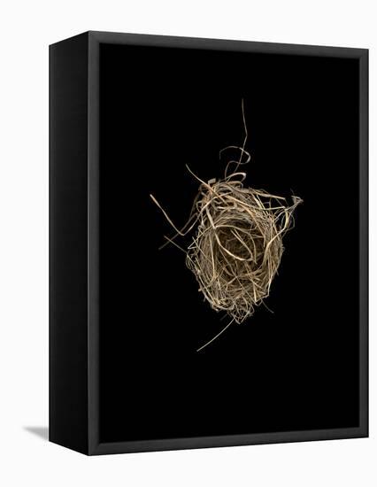 Construction 1: Birds Nest from Above-Doris Mitsch-Framed Stretched Canvas