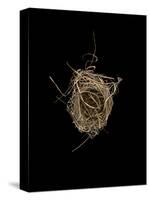 Construction 1: Birds Nest from Above-Doris Mitsch-Stretched Canvas