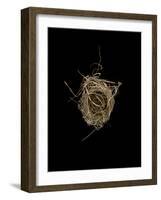 Construction 1: Birds Nest from Above-Doris Mitsch-Framed Photographic Print