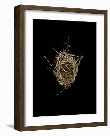 Construction 1: Birds Nest from Above-Doris Mitsch-Framed Photographic Print