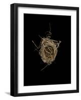 Construction 1: Birds Nest from Above-Doris Mitsch-Framed Photographic Print