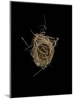 Construction 1: Birds Nest from Above-Doris Mitsch-Mounted Photographic Print