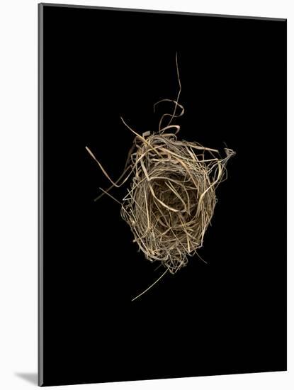 Construction 1: Birds Nest from Above-Doris Mitsch-Mounted Photographic Print