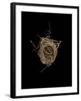 Construction 1: Birds Nest from Above-Doris Mitsch-Framed Photographic Print