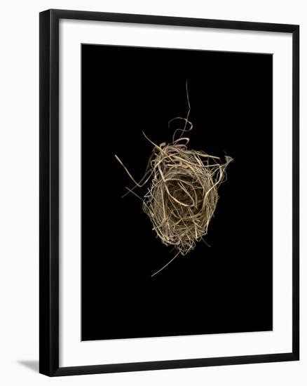 Construction 1: Birds Nest from Above-Doris Mitsch-Framed Photographic Print