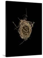 Construction 1: Birds Nest from Above-Doris Mitsch-Stretched Canvas