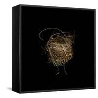Construction 7: Birds Nest-Doris Mitsch-Framed Stretched Canvas
