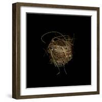 Construction 7: Birds Nest-Doris Mitsch-Framed Photographic Print