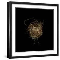 Construction 7: Birds Nest-Doris Mitsch-Framed Photographic Print