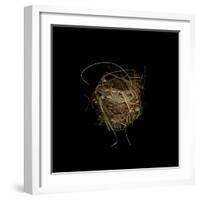 Construction 7: Birds Nest-Doris Mitsch-Framed Photographic Print