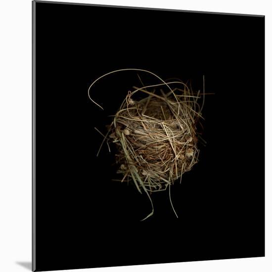 Construction 7: Birds Nest-Doris Mitsch-Mounted Photographic Print