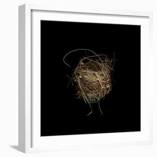 Construction 7: Birds Nest-Doris Mitsch-Framed Premium Photographic Print