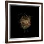 Construction 7: Birds Nest-Doris Mitsch-Framed Photographic Print