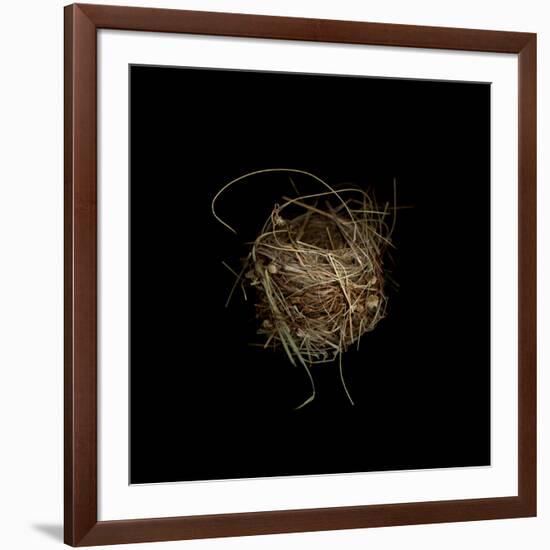 Construction 7: Birds Nest-Doris Mitsch-Framed Photographic Print