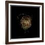 Construction 7: Birds Nest-Doris Mitsch-Framed Photographic Print