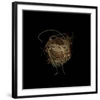 Construction 7: Birds Nest-Doris Mitsch-Framed Photographic Print