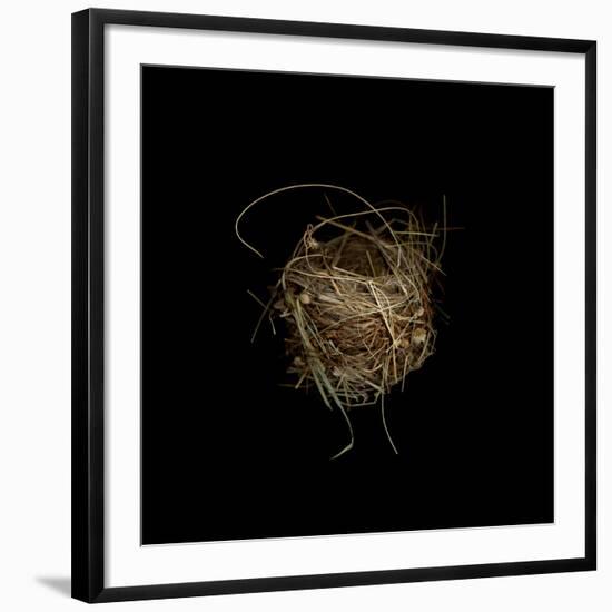 Construction 7: Birds Nest-Doris Mitsch-Framed Photographic Print