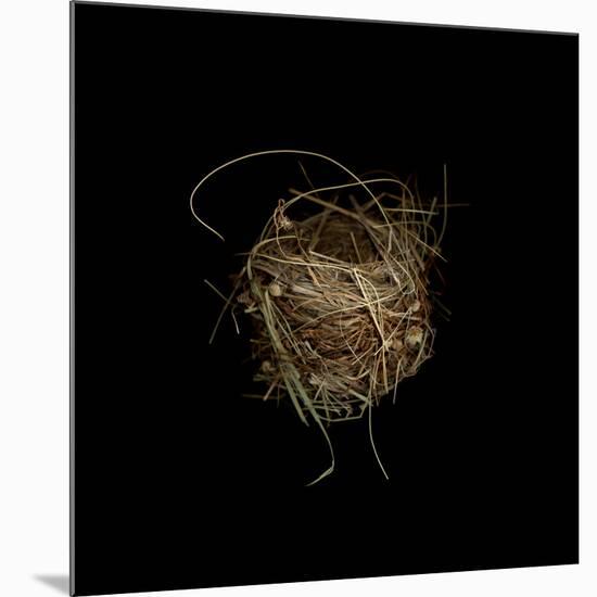 Construction 7: Birds Nest-Doris Mitsch-Mounted Photographic Print