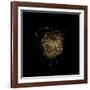 Construction 7: Birds Nest-Doris Mitsch-Framed Photographic Print