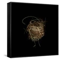 Construction 7: Birds Nest-Doris Mitsch-Framed Stretched Canvas