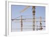 Construction Cranes in Central Doha.-Jon Hicks-Framed Photographic Print