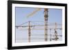 Construction Cranes in Central Doha.-Jon Hicks-Framed Photographic Print