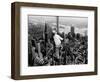 Construction for the Empire State Building's New 217 Foot Multiple Television Tower-null-Framed Photographic Print