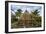 Construction of a traditional house, Ouvea, Loyalty Islands, New Caledonia, Pacific-Michael Runkel-Framed Photographic Print