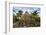 Construction of a traditional house, Ouvea, Loyalty Islands, New Caledonia, Pacific-Michael Runkel-Framed Photographic Print