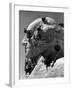 Construction of George Washington Section of Mt. Rushmore Monument-Alfred Eisenstaedt-Framed Photographic Print