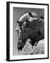 Construction of George Washington Section of Mt. Rushmore Monument-Alfred Eisenstaedt-Framed Photographic Print