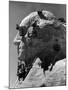 Construction of George Washington Section of Mt. Rushmore Monument-Alfred Eisenstaedt-Mounted Photographic Print