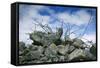 Construction Rubble-Chris Henderson-Framed Stretched Canvas