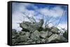 Construction Rubble-Chris Henderson-Framed Stretched Canvas