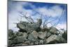 Construction Rubble-Chris Henderson-Mounted Photographic Print