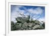 Construction Rubble-Chris Henderson-Framed Photographic Print